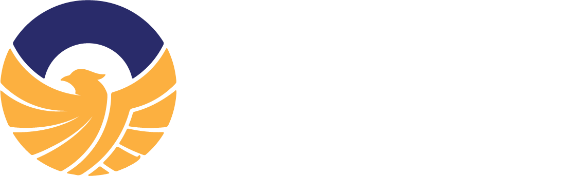 Arabian System & Solutions